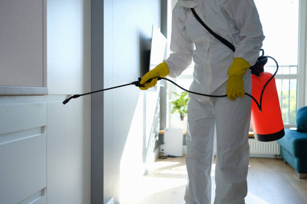 Best Professional Mold Removal  in Morenci, MI